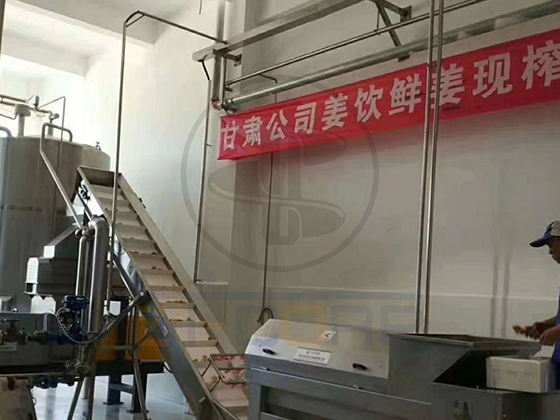 商用工業(yè)級大型螺旋生姜榨汁機